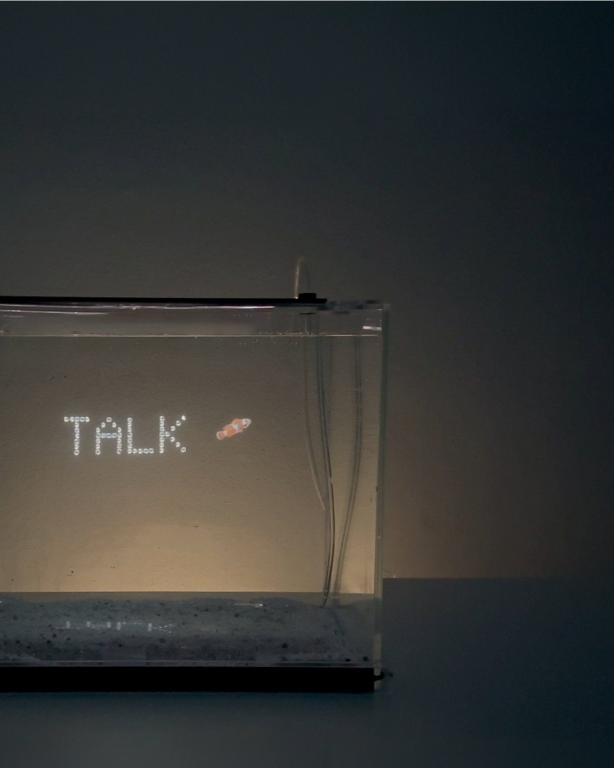 BubbleTalk