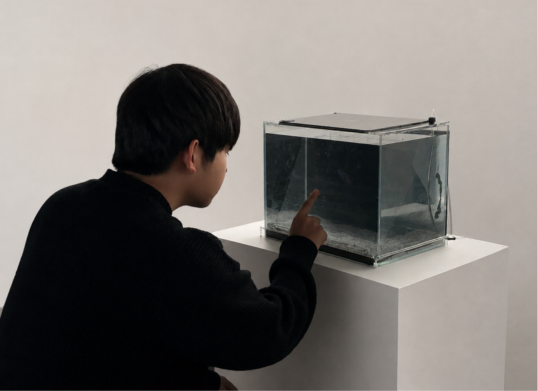 BubbleTalk interaction image 1